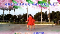 怀德阿莲广场舞（对跳16步温柔与霸道）编舞：可爱玫瑰花