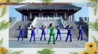 2015最新热门广场舞分解动作教学视频 快乐舞吧广场舞美极了