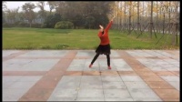 扬州蝶湖健身队广场舞 红高粱《九儿》个人版