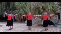 双人广场舞视频大全 伦巴双人舞