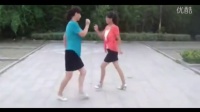 双人广场舞视频大全 十四步分解动作 双人舞三