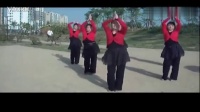 广场舞队形舞 好运来 茉莉广场舞 中国歌最美_PMCcn.com_8