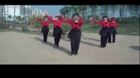 广场舞队形舞 好运来 茉莉广场舞 中国歌最美_PMCcn.com_2