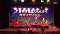 广场舞表演《壮乡三月天》15人队形