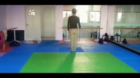 艺子龙广场舞视频大全16步-恰恰恰舞