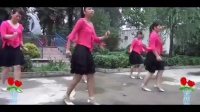 乐心广场舞视频-花蝴蝶 广场舞蹈视频大全2015