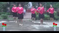乐心广场舞-最炫民族风 广场舞蹈视频大全2015