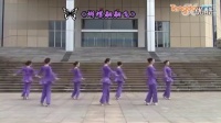 紫蝶踏歌广场舞《蝴蝶翩翩飞》-糖豆网广场舞视频大全