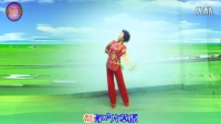 彩虹广场筷子舞《每个人心中有一片草原》演示彩虹  视频制作晴空