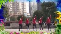 师桥公园亚亚广场舞2016年最新《小水果》筷子兄弟.