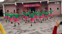 左领广场舞中国动动广场舞小苹果健身舞减肥操现代舞广场舞教学广场舞蹈视频大全健美操