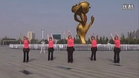 第07节【腰背运动】莱州广场舞活力健身操