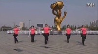 第08节【胯摆运动】莱州广场舞活力健身操