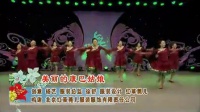 杨艺立华广场舞 《美丽的康巴姑娘》 藏族舞  厦门乐海舞队_标清