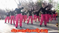 蓝蓝广场舞-----鹤壁樱花节之舞【重要的事情说三遍】辣妈舞队