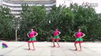 2016年最新广场舞【欢喜就好】姐妹版 制作：永不疲倦