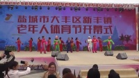 广场舞爷爷奶奶和我们2016年度中国荷兰花海舞蹈才艺比赛