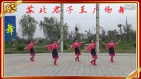 苏北君子兰广场舞系列-179-新下马酒之歌
