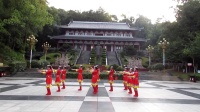 三月广场舞想西藏变队形10人