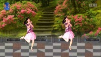 西岩广场舞《世界上最美的花》糖豆致青春