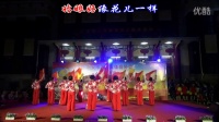 丰州代表队《我的祖国》（扇子舞）--南安市老体协庆祝中国共产党成立95周年暨红军长征胜利80周年广场舞展演