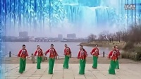 2016年最新最流行广场舞《又见北风吹》教学视频_标清