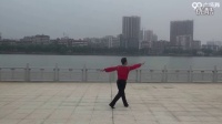 刘峰广场舞 渔家姑娘在海边 动作分解_16