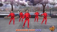 西湖莉莉舞蹈团《我在人民广场跳广场舞》