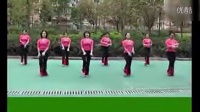 2017最新广场舞《荷塘月色》正背面网红广场舞，天龙推荐