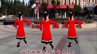 2015年最新广场舞蹈视频大全 减肥操廋腰廋肚子减赘肉_1