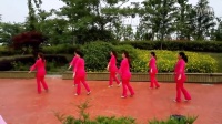 中国歌最美广场舞 背面分解动作最新
