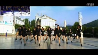 现代震憾十搏击操变队形 简单广场舞教学 广场舞视频