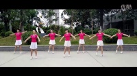 《最怕结果爱不起》 简单广场舞教学 广场舞视频