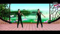 《美丽的岳阳》 简单广场舞教学 广场舞视频