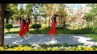 《眉飞色舞》 简单广场舞教学 广场舞视频