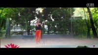 《荷塘月色》 简单广场舞教学 广场舞视频