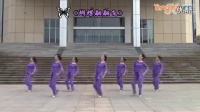 紫蝶踏歌广场舞《蝴蝶翩翩飞》 - 糖豆网广场舞视频大全