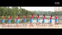 《蝴蝶》 简单广场舞教学 广场舞视频