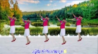 郑州欢乐秀秀广场舞《亲爱的你在哪里》编舞：王子