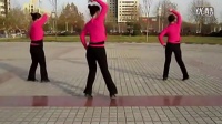 西班牙恰恰 广场舞2016最新广场舞教学视频大全