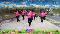 绿丝苗广场舞（舞美姿）北京金山上