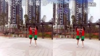 2016年最流行广场舞双人舞《大眼睛》教学视频_标清