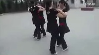 广场舞双人舞十四步舞蹈视频_标清
