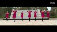 我的草原天堂》 简单广场舞教学 广场舞视频