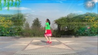 红领巾梦之湖广场舞《蓝月山谷》演示：小倩