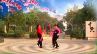 蚌埠市龙湖春天丽达广场舞钱 杆舞（我不想说 ｝十个点