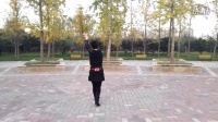 郑州西湖乐动李华广场舞舞蹈（石榴花）背面教学视频
演示:李华