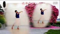 阳光美梅广场舞【栀子花开】形体舞-最新广场舞视频大全