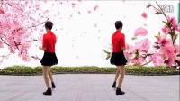 红领巾小可乐广场舞《一生无悔》步子舞演示：恋恋