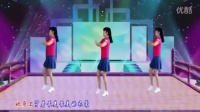 【海南SEO】太湖广场舞《雪莲》动感步子舞
